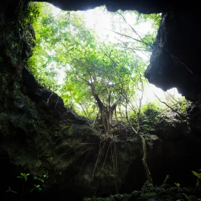 仙人掌旅館