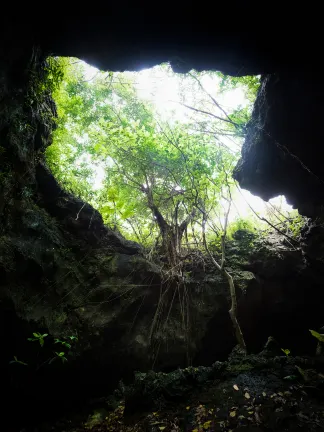 仙人掌旅館