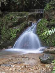 飛水寨景区