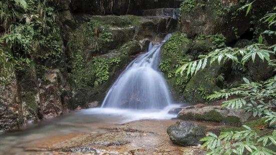 飛水寨景區