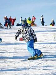 Regao Amusement Park Ski Field