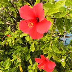 Rongfuzhengqihaixianfang User Photo
