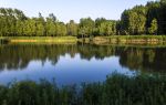 Shengxihu Wetland Park