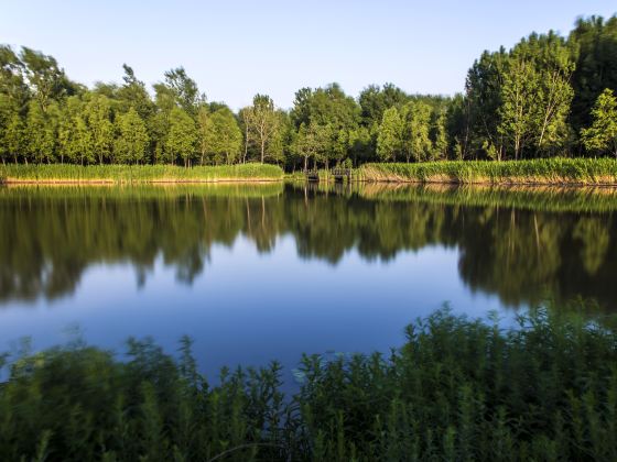 Shengxihu Wetland Park