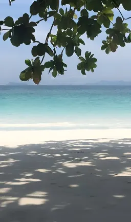 Отели рядом с достопримечательностью «Holualoa Village»