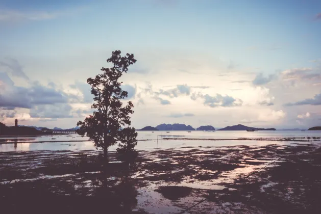 โรงแรมสำหรับนักธุรกิจในเซบู