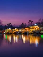 Dal Lake