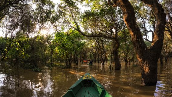哥打京那巴魯皇家灣紅樹林半日遊