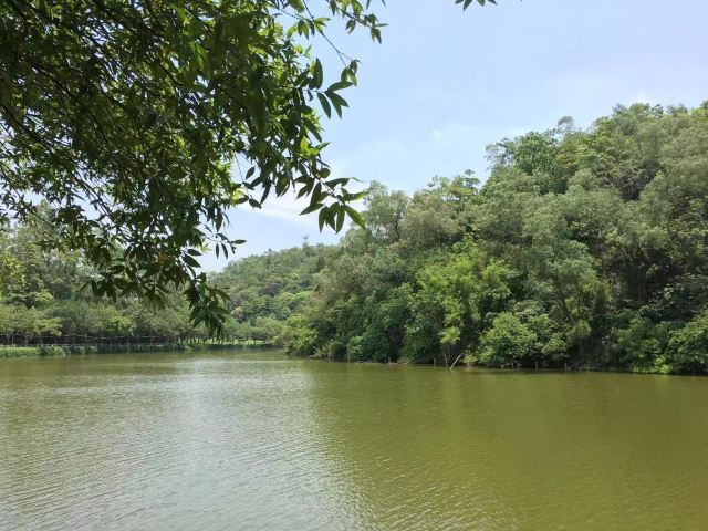 Bruce Lee Park