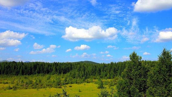 Grass Skating Center