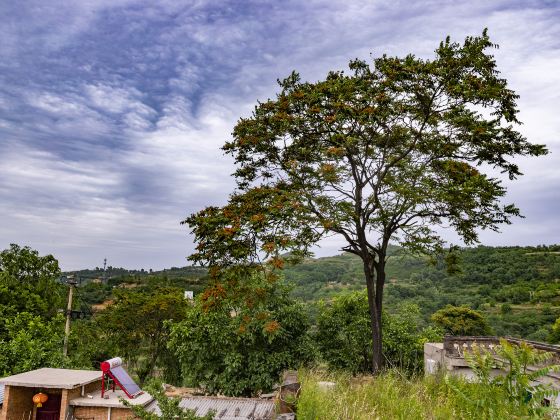 The ancient town of Chenlu