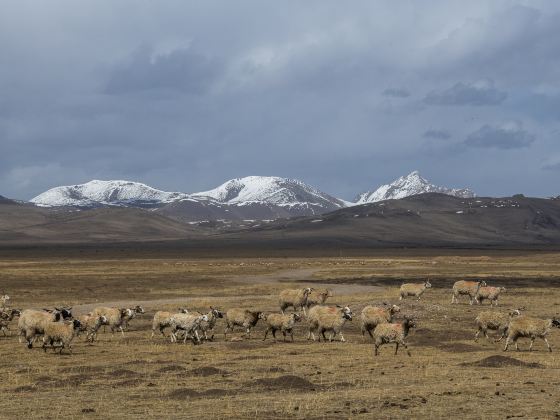 Western District Tourist Ranch