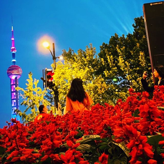 Night stroll near the Bund 