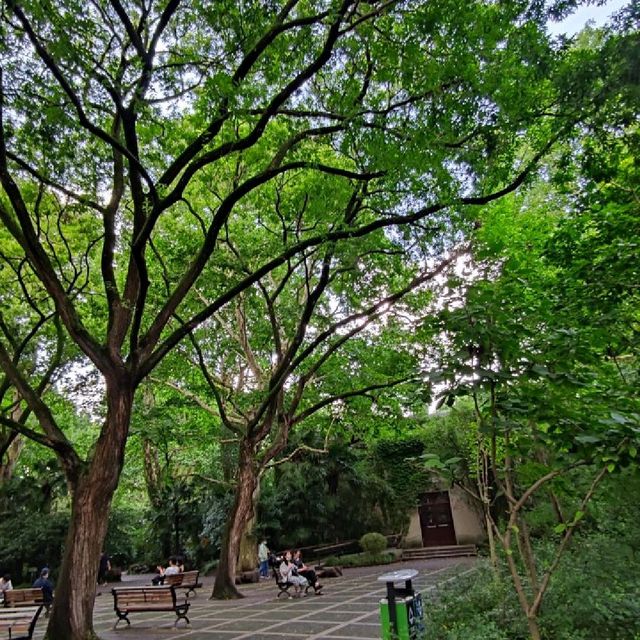 FREE Entrance @ Shanghai Zoo this Summer
