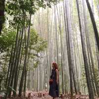 상하이문‘s 아라시야마 대나무숲
