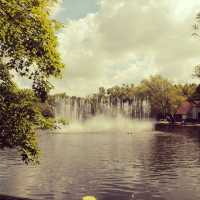 Gongqing Forest Park Shanghai Nature Bli