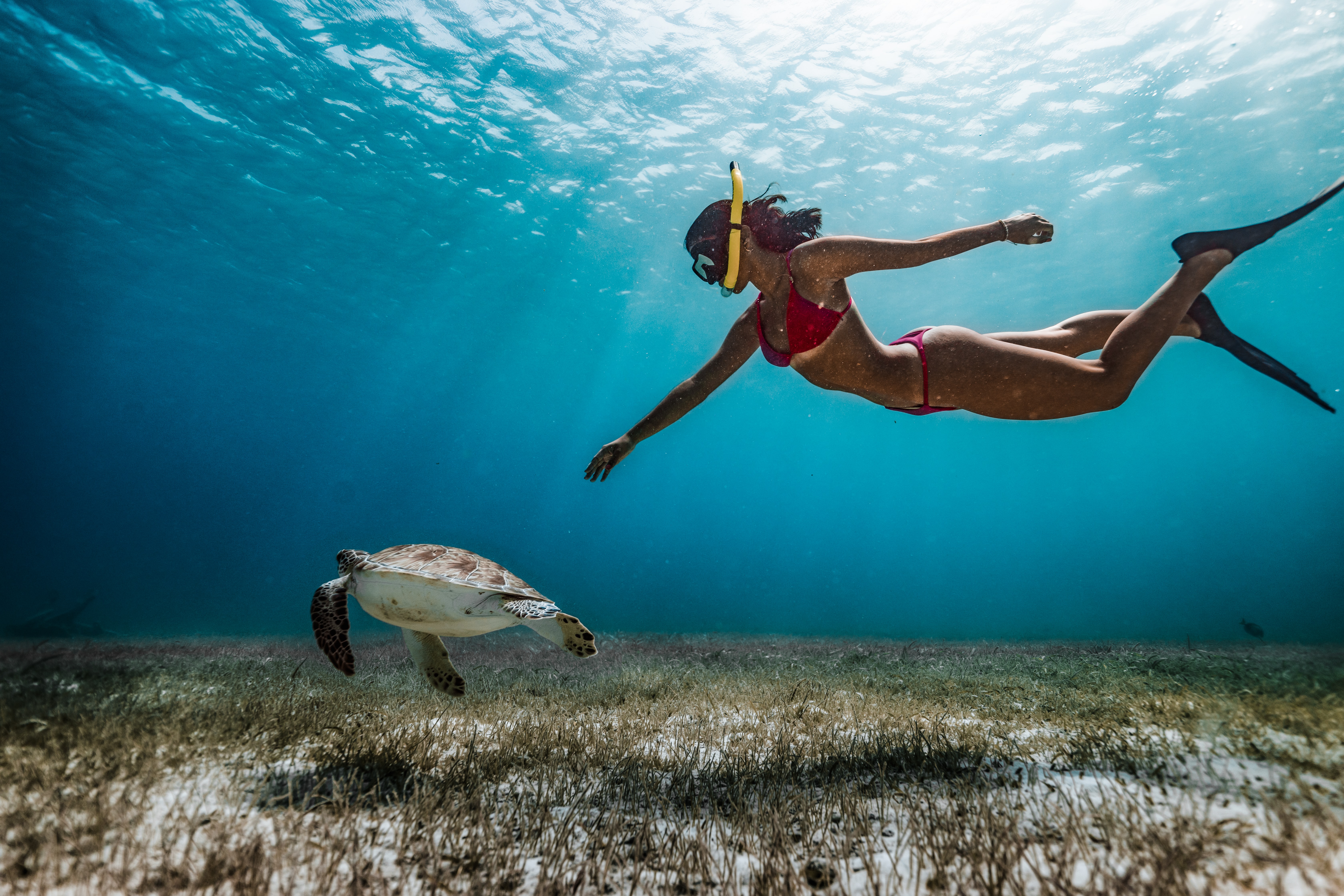 Cancun Bucket List: 12 Must-Experience Activities in Paradise - Snorkeling in the Underwater Museum of Art (MUSA)