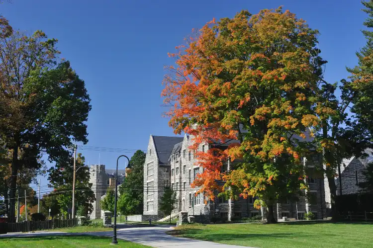 Hotels in Bryn Mawr