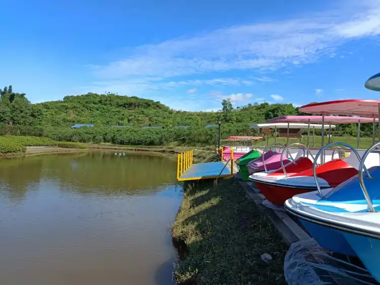 Hotels in Fushun County