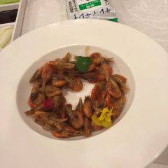 Zupperia User Photo