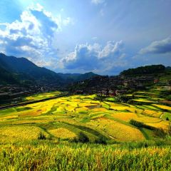 青莲居河景饭店 User Photo