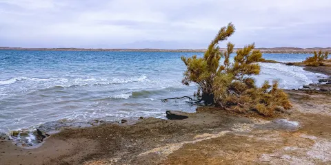 小扎格斯台淖爾