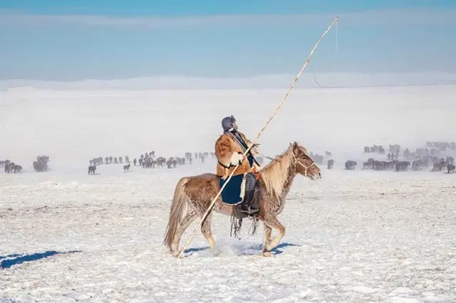 Hulunbuir Equestrian Show