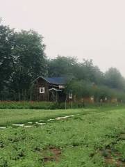 Moon Bay Herb Garden