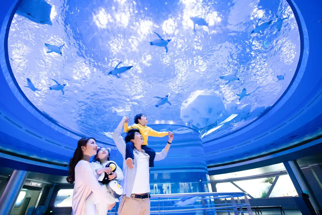 Hotels near Antarctic Penguin Encounter