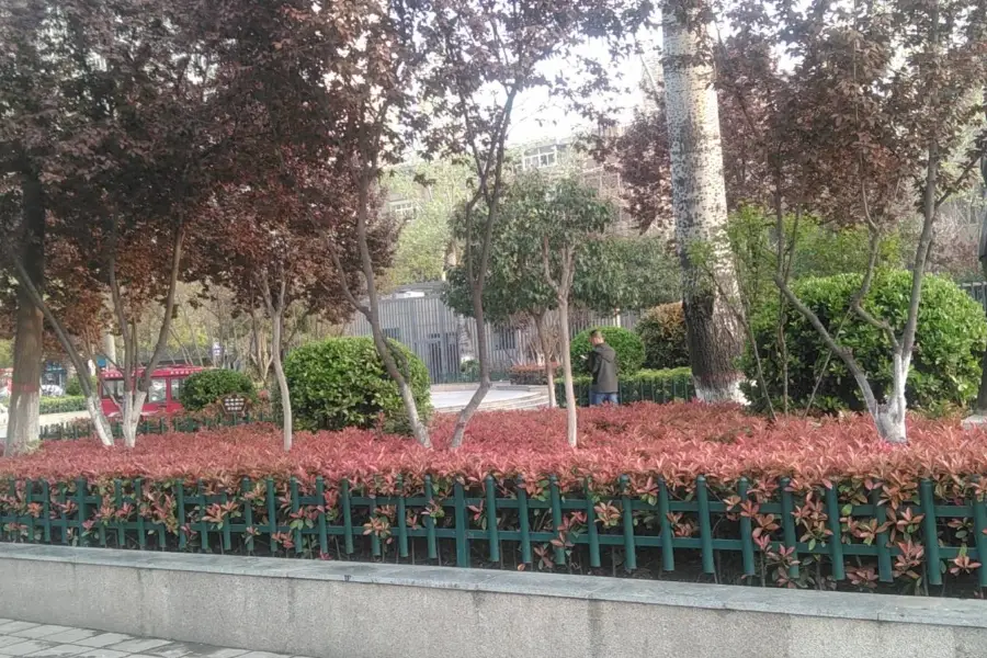 Tumenxiao Shulin Park
