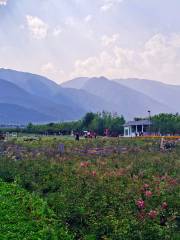 Seaside Flower Garden, Dali City