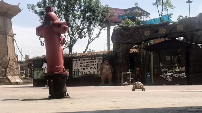 聖名萌寵動物園