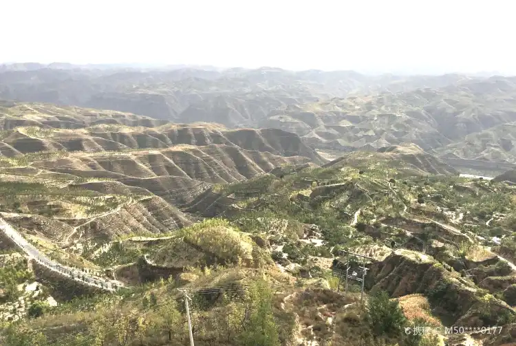 Hotels in Wuqi