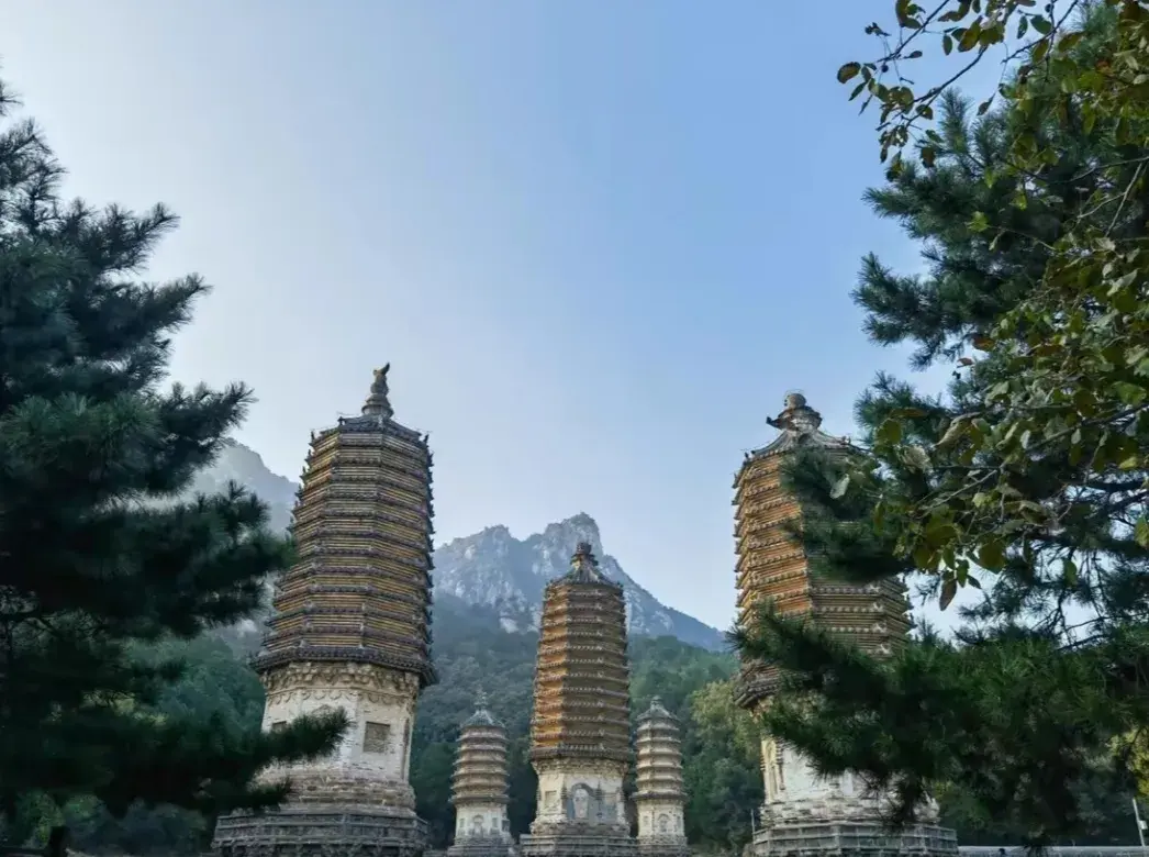 2_Yinshan Pagoda Forest