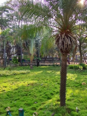 Jayamahal Park