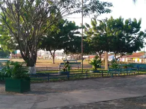 Parque da Cidade