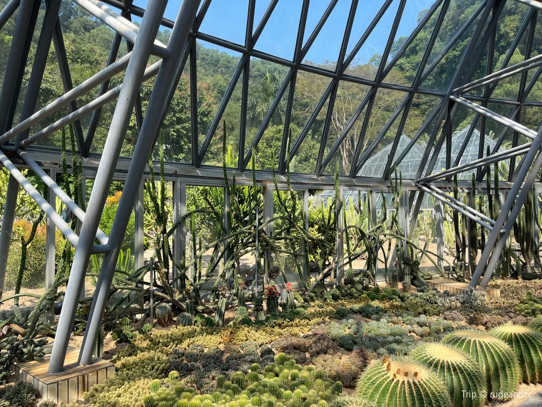 3_Desert Plant Floras