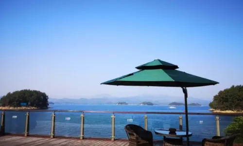  (wenguangxuanzhongcanting)