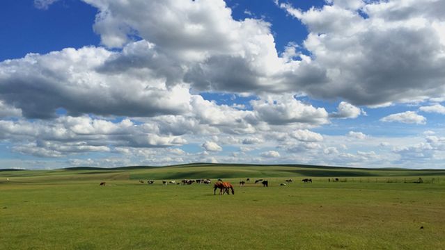 Hulun Grassland Horse Riding Field