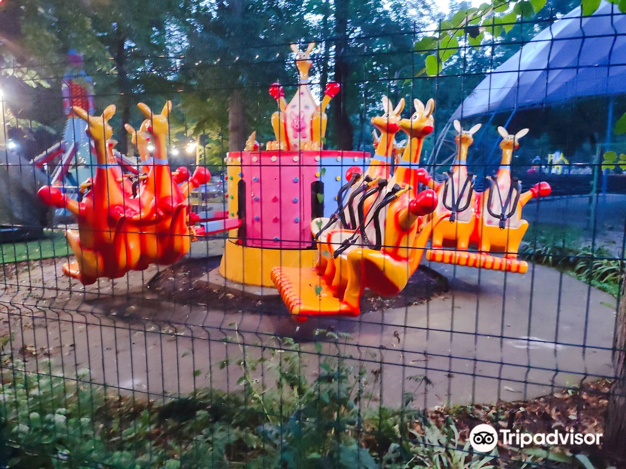 Tori Leynning oyoq fetshi fotosurati