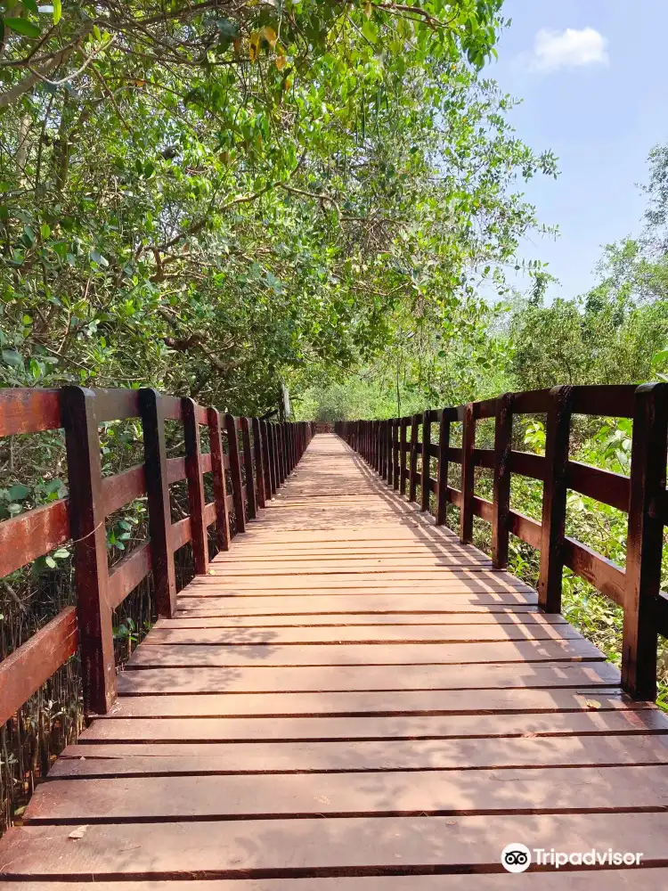 Hotels near Sharavathi Kandla Mangrove Boardwalk