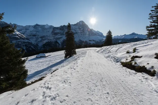 Skiing in Grindelwald