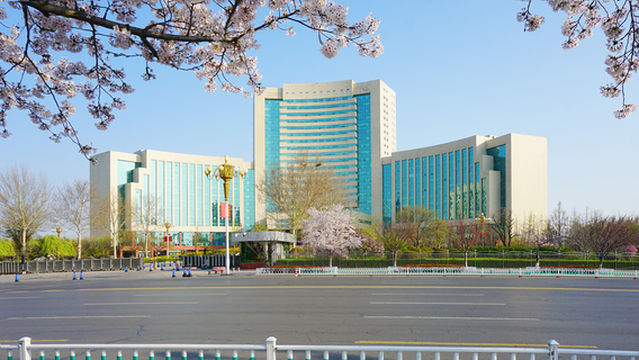 Cherry Blossom Viewing in Weifang