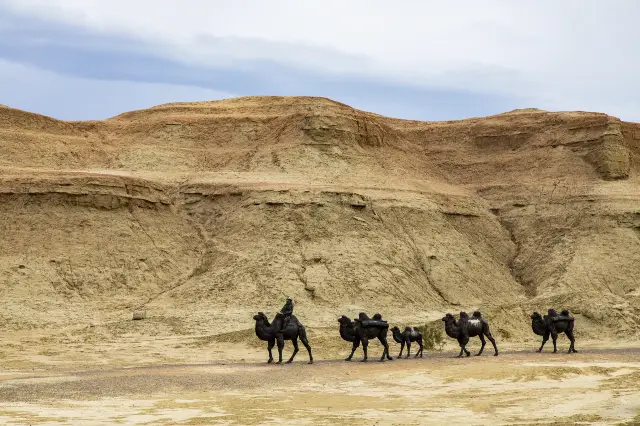 Camel Riding in Kashi