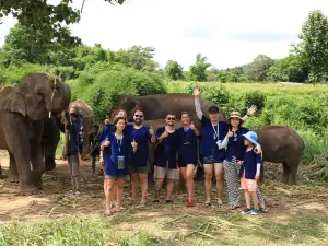 Living Green Elephant Sanctuary&Foundation