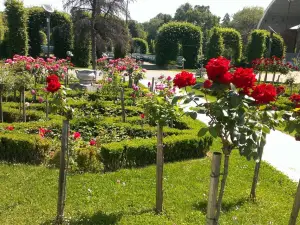 Roses Park