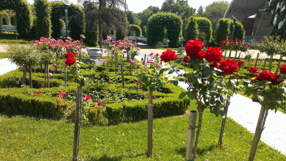 Roses Park