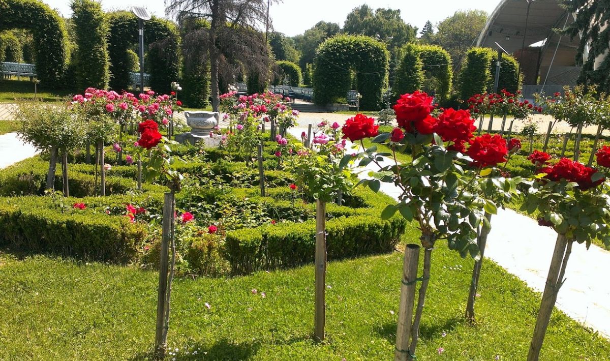 Roses Park