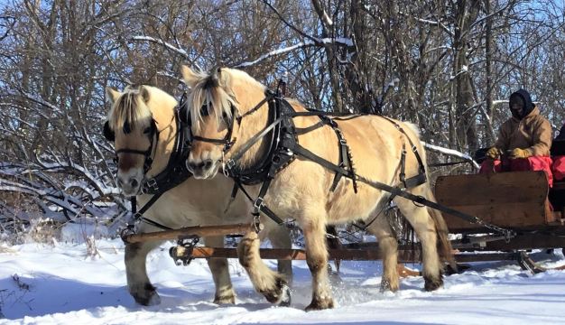 Ausable Equine Center Sleigh Rides Tickets [2026] - Promos, Prices ...