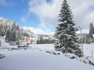 Ponijeri Ski Center
